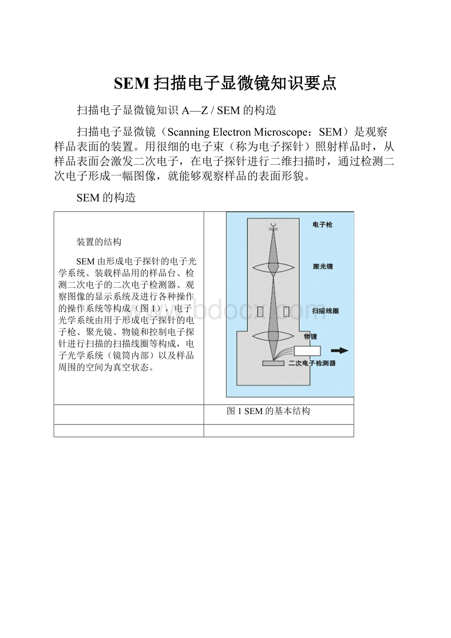 SEM扫描电子显微镜知识要点.docx_第1页