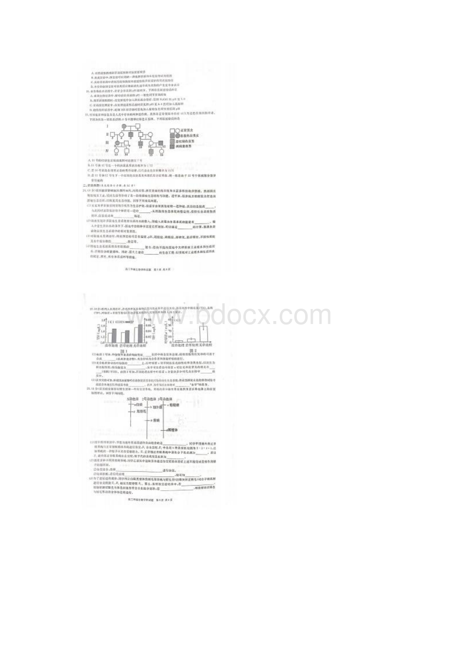 浙江省9+1联盟高三期中 生物试题附答案.docx_第3页