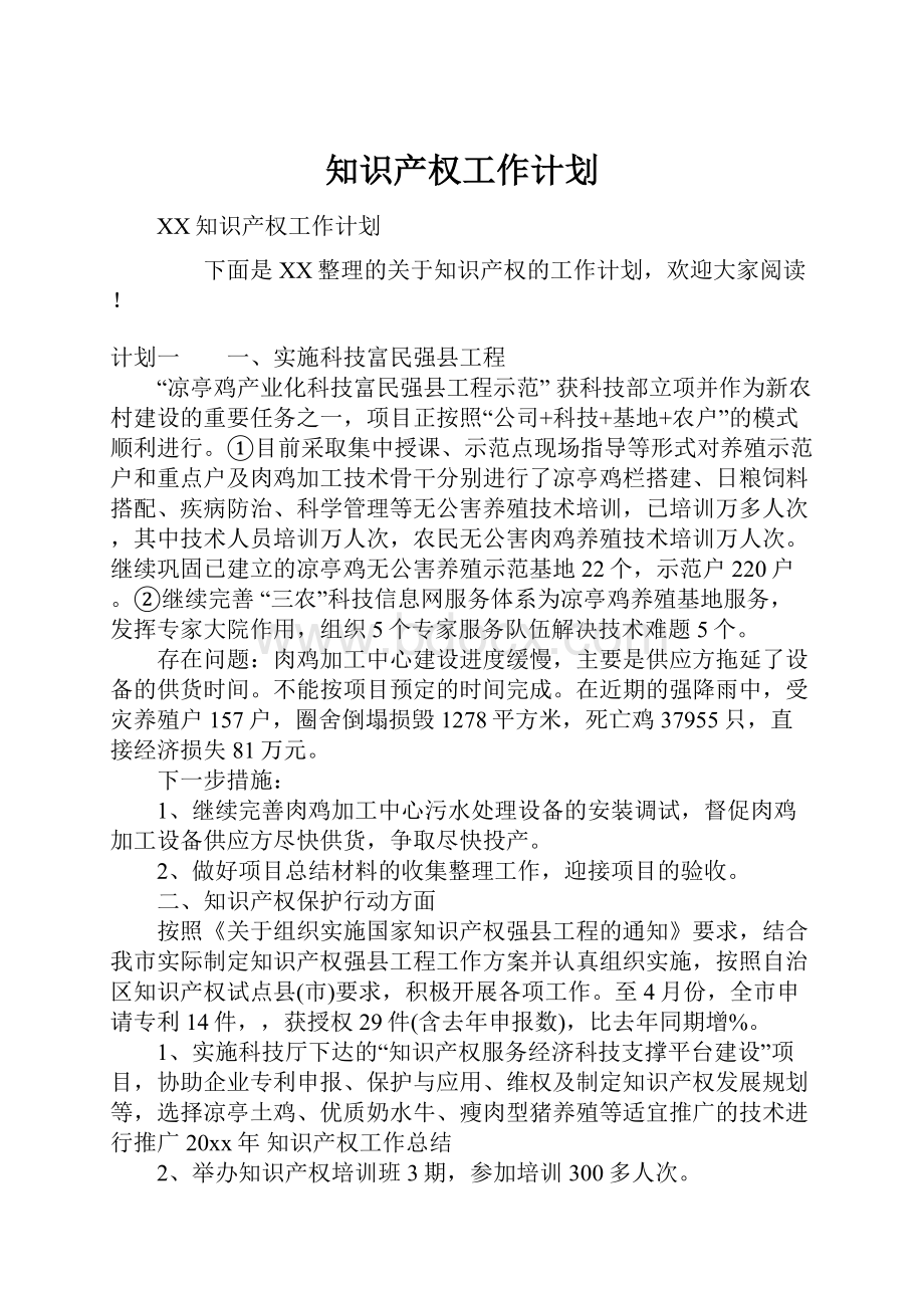 知识产权工作计划Word文档格式.docx