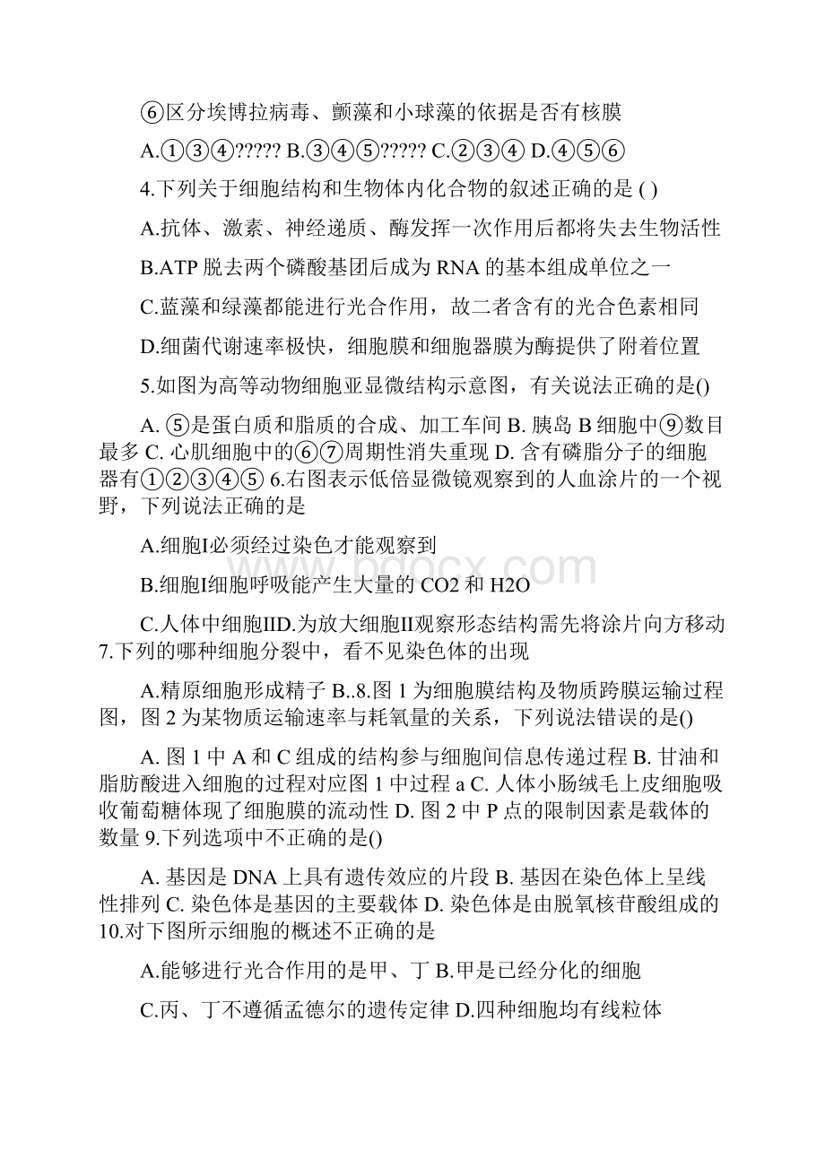 寒假自主学习作业本高一生物答案Word文档格式.docx_第2页