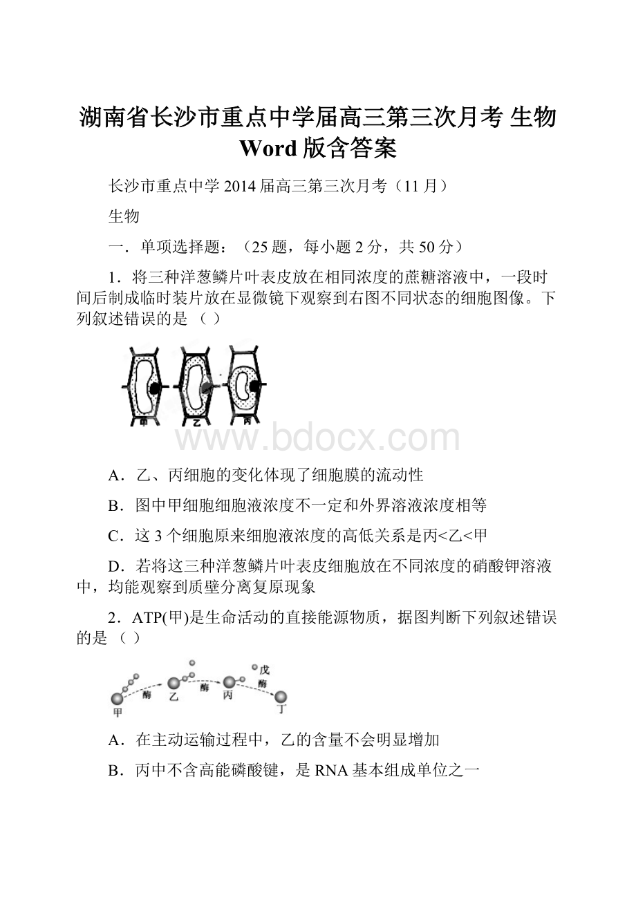 湖南省长沙市重点中学届高三第三次月考 生物 Word版含答案Word文件下载.docx_第1页