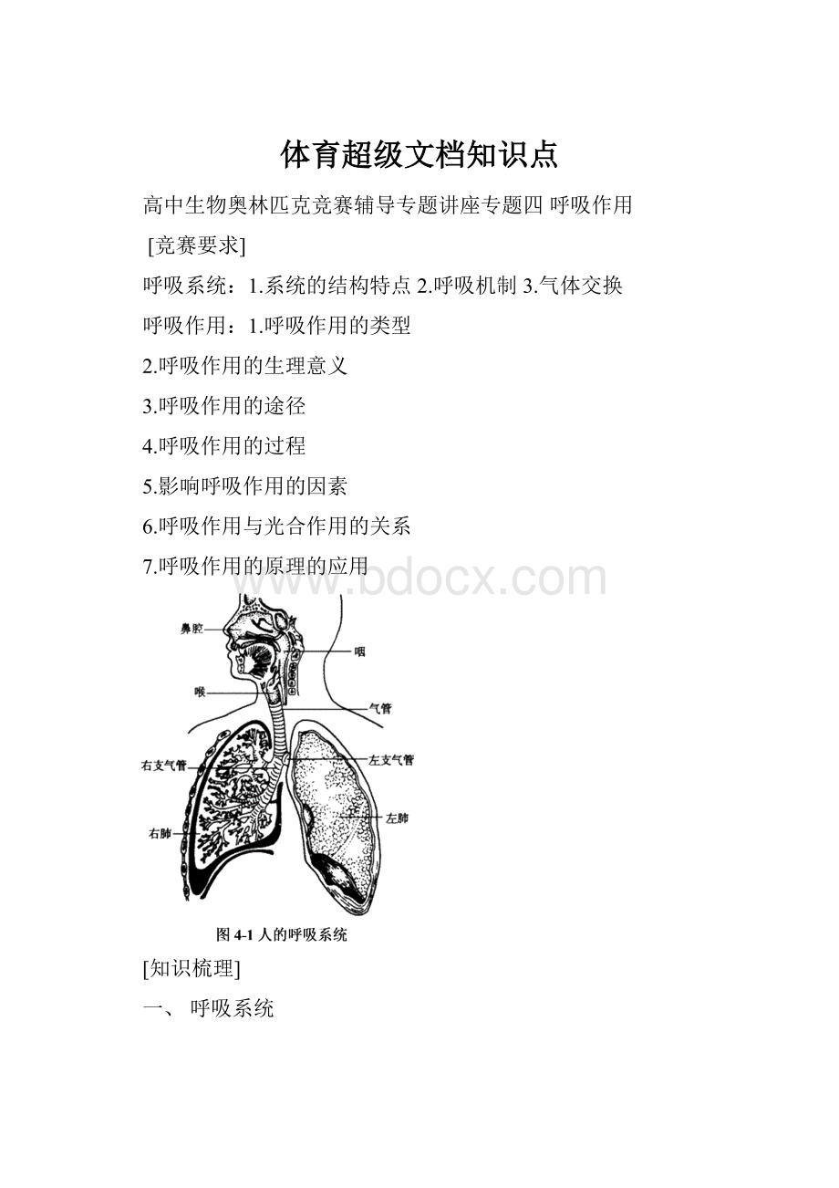 体育超级文档知识点Word文档下载推荐.docx