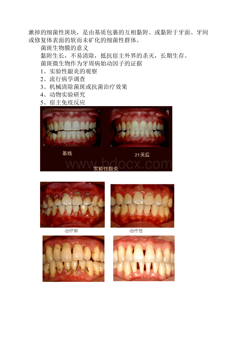 医师执业口腔内科学讲义.docx_第2页