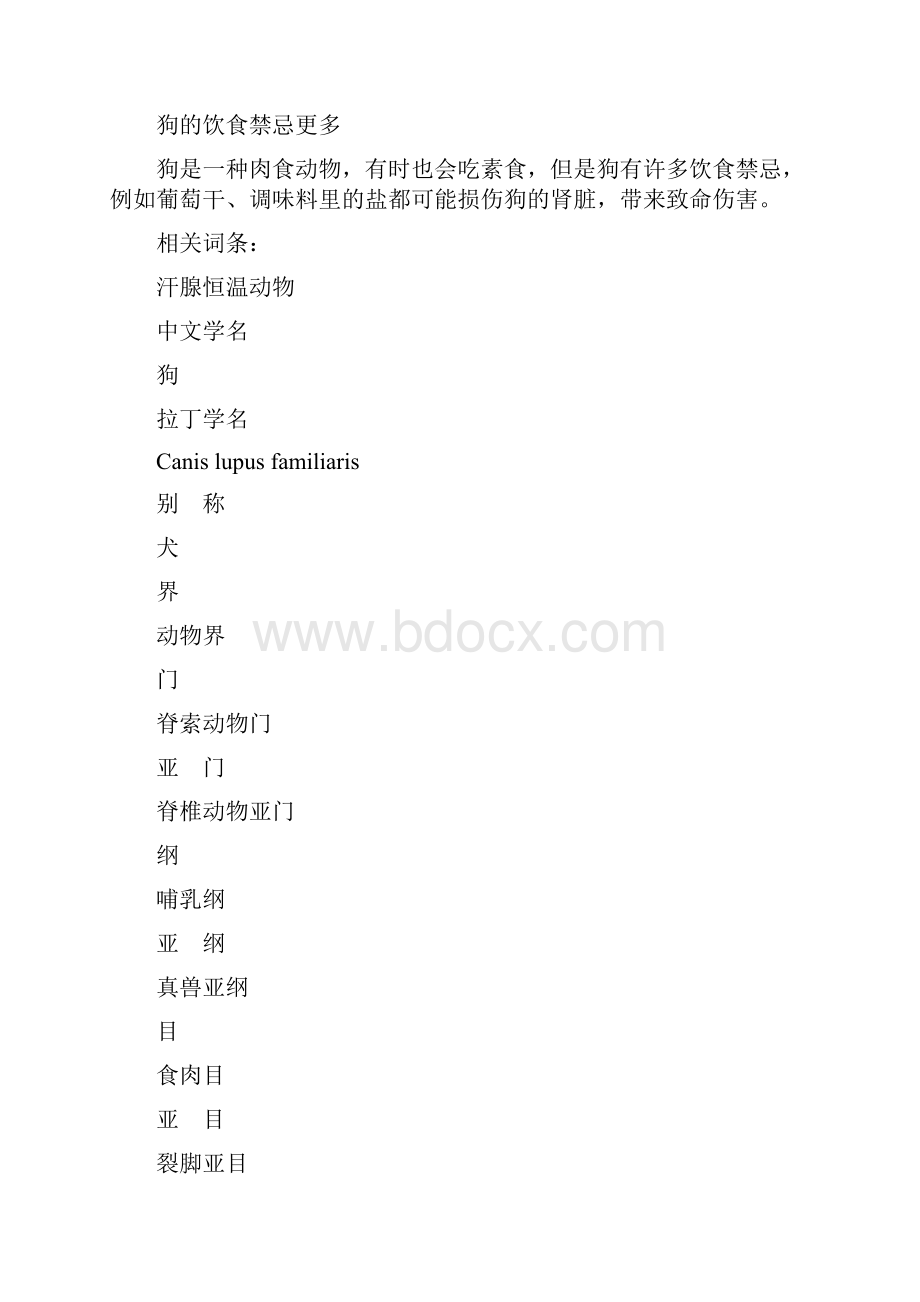 狗.docx_第2页