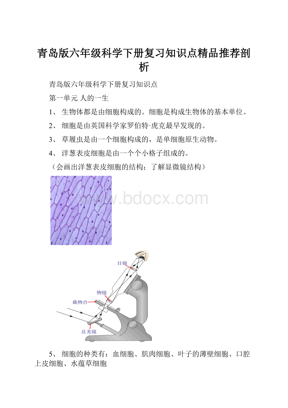 青岛版六年级科学下册复习知识点精品推荐剖析.docx