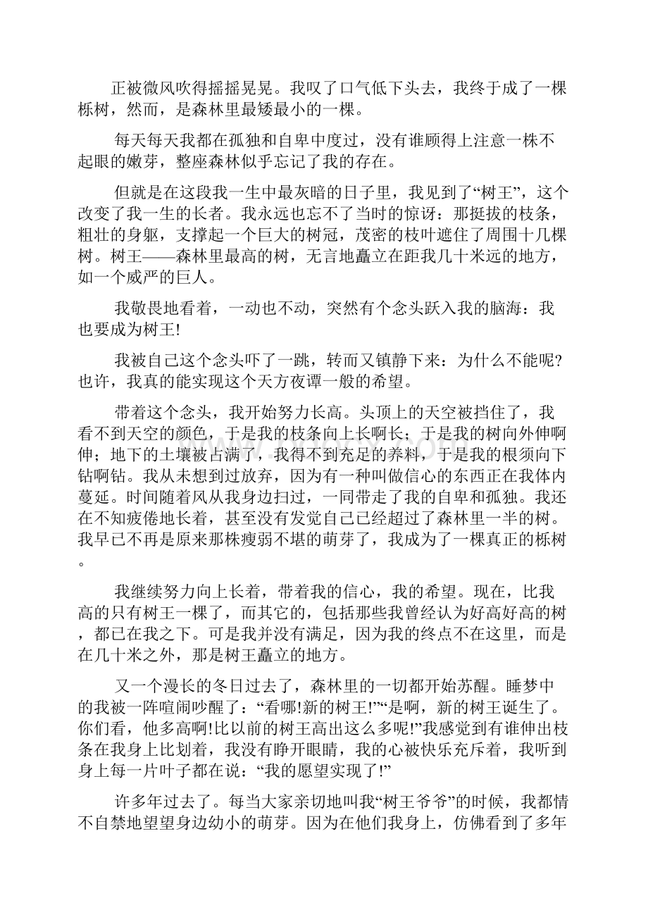 中考作文之中考优秀抒情作文赏析.docx_第3页