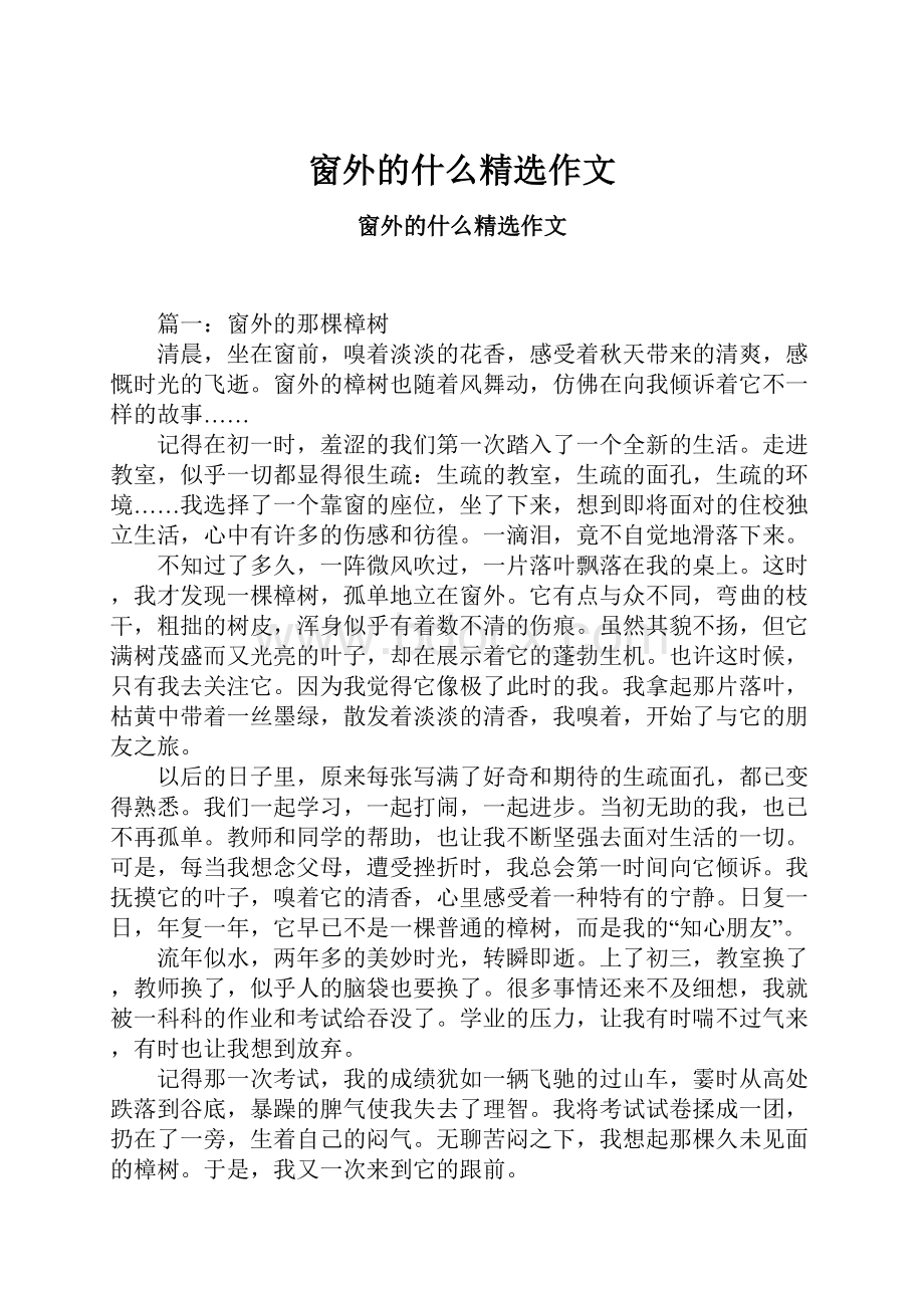 窗外的什么精选作文Word格式文档下载.docx_第1页