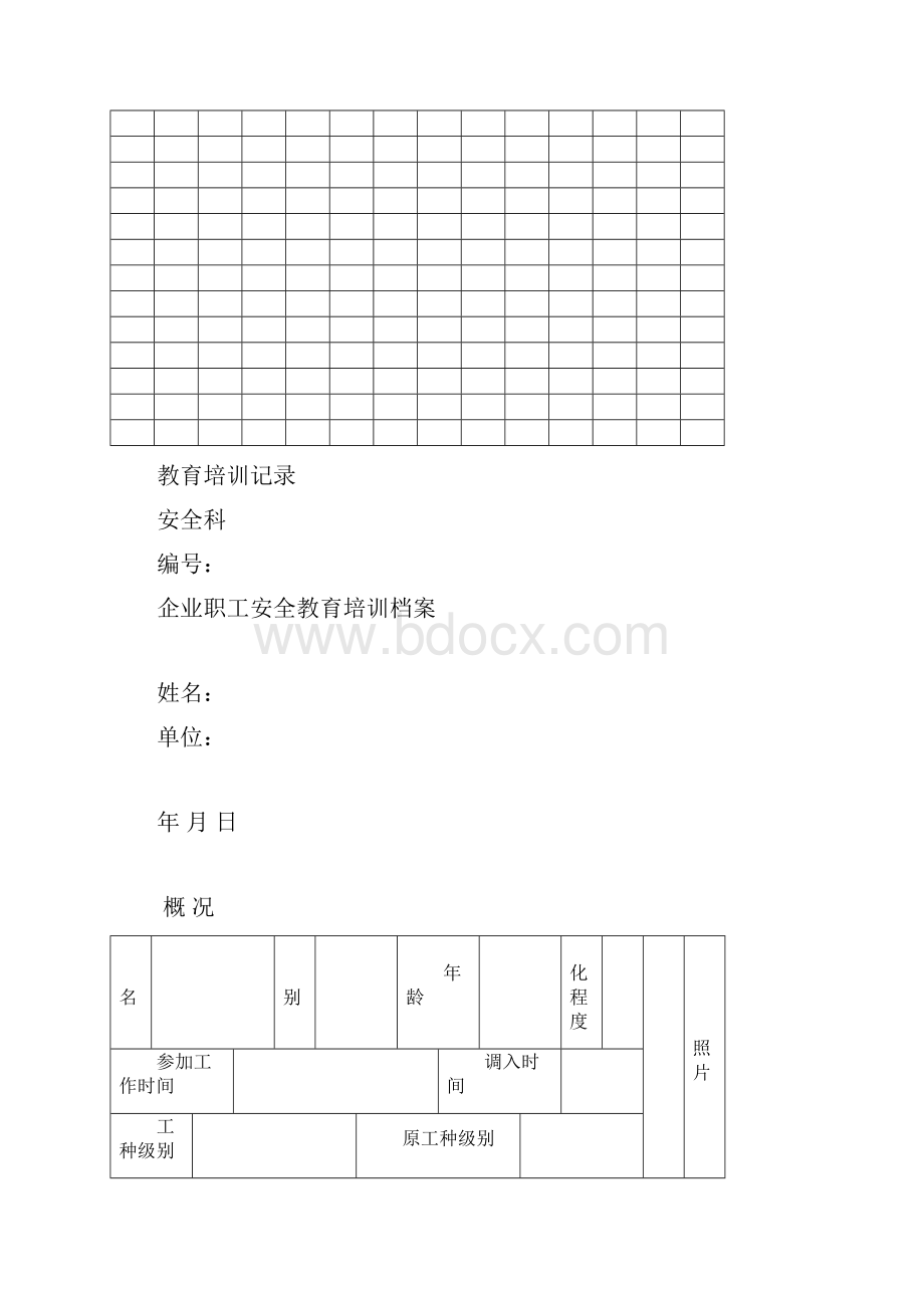 安全记录表格范本模板.docx_第2页