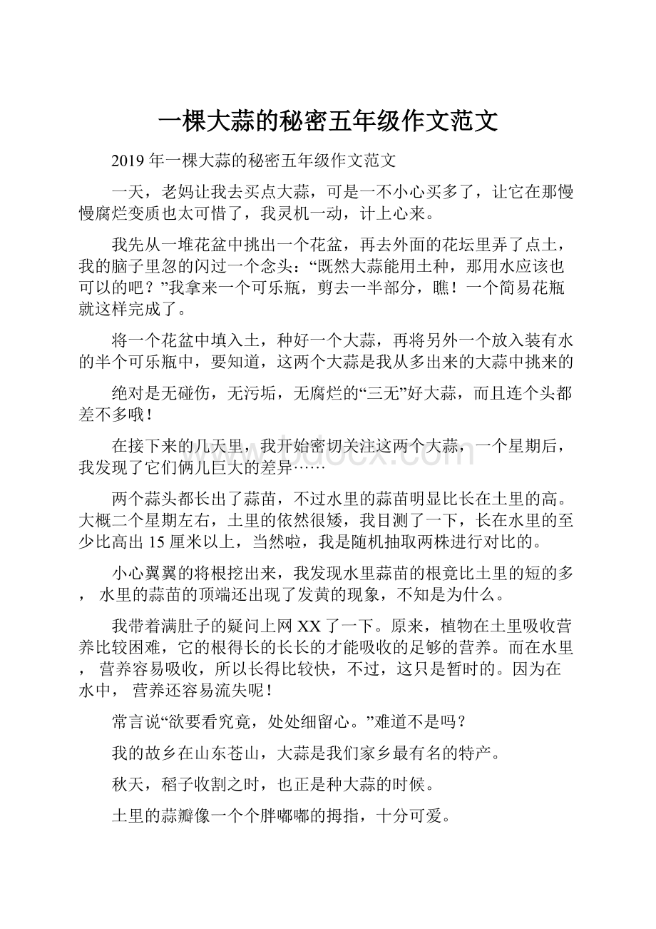 一棵大蒜的秘密五年级作文范文文档格式.docx