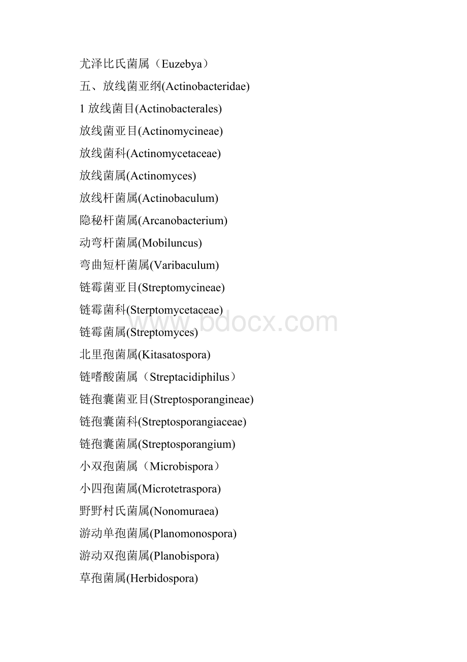 放线菌分类完整Word文件下载.docx_第3页