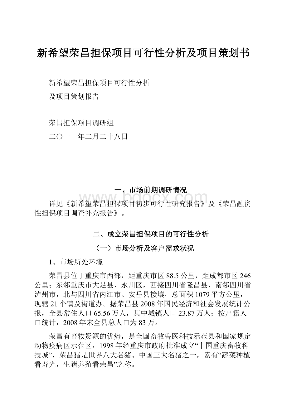 新希望荣昌担保项目可行性分析及项目策划书.docx