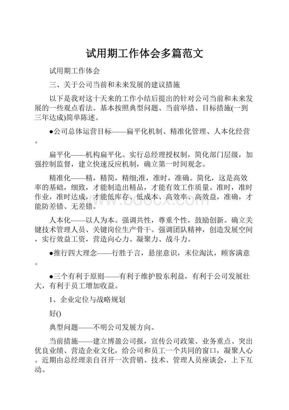 试用期工作体会多篇范文Word格式文档下载.docx