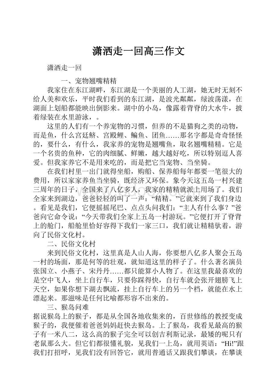 潇洒走一回高三作文.docx