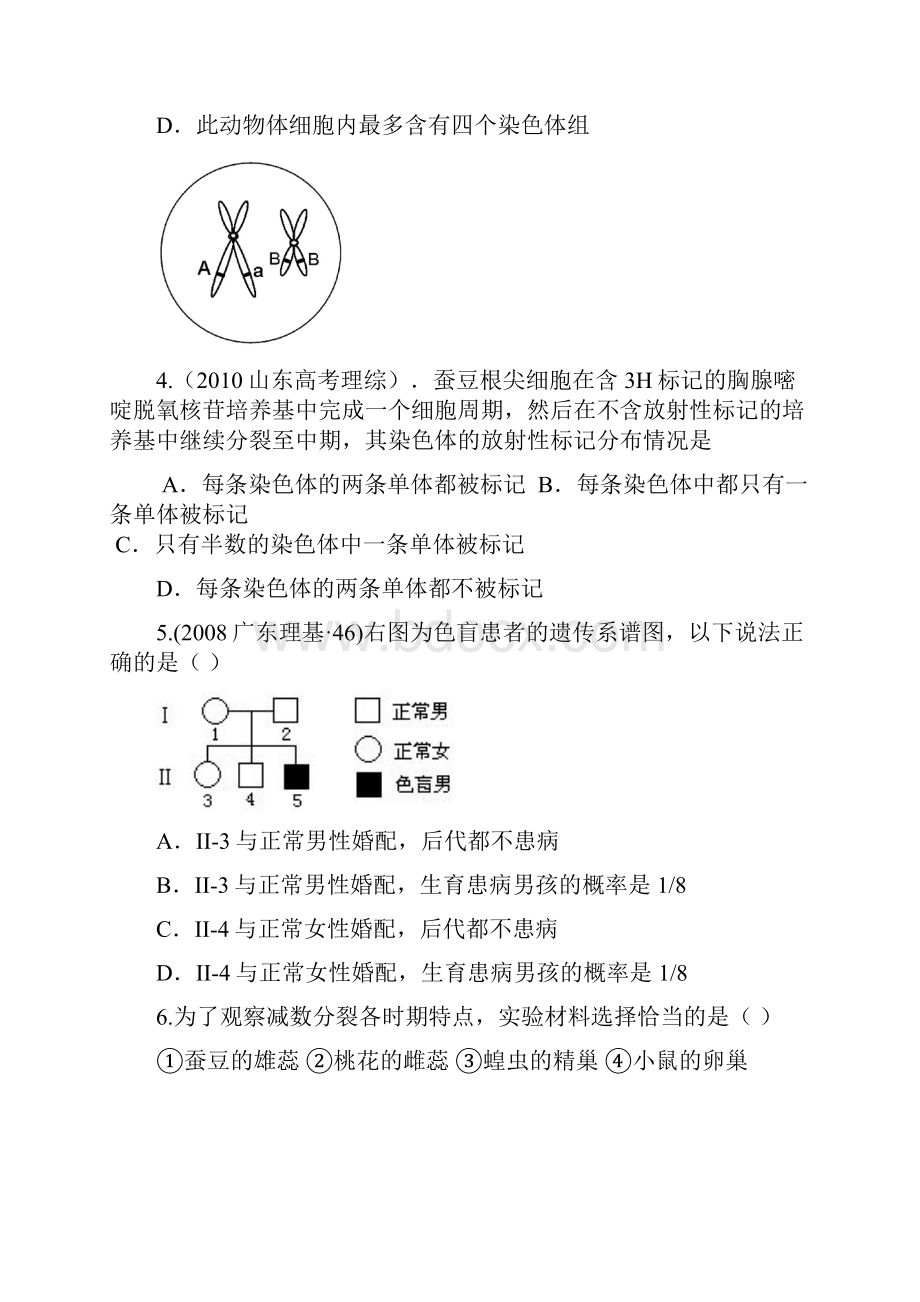 减数分裂和伴性遗传习题集Word下载.docx_第2页