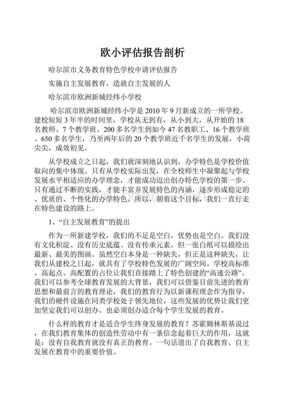 欧小评估报告剖析.docx_第1页