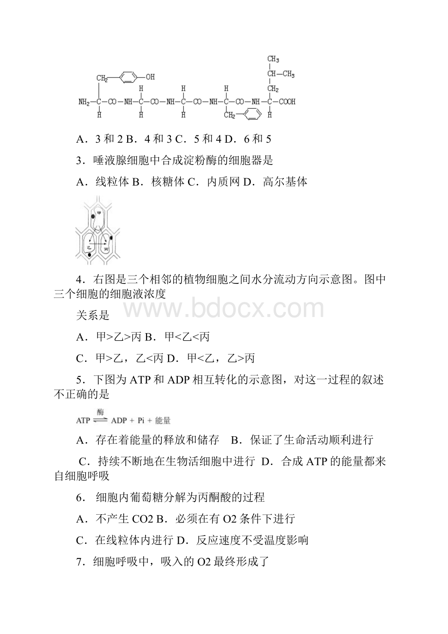 北京市夏季普通高中会考 生 物 模 拟 试 卷含答案.docx_第2页
