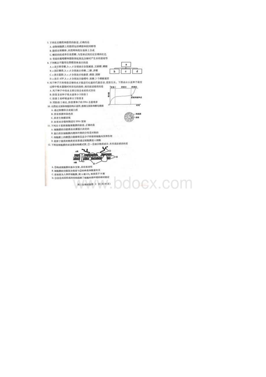 湖北省黄冈市届高三质量检测生物试题及答案.docx_第2页