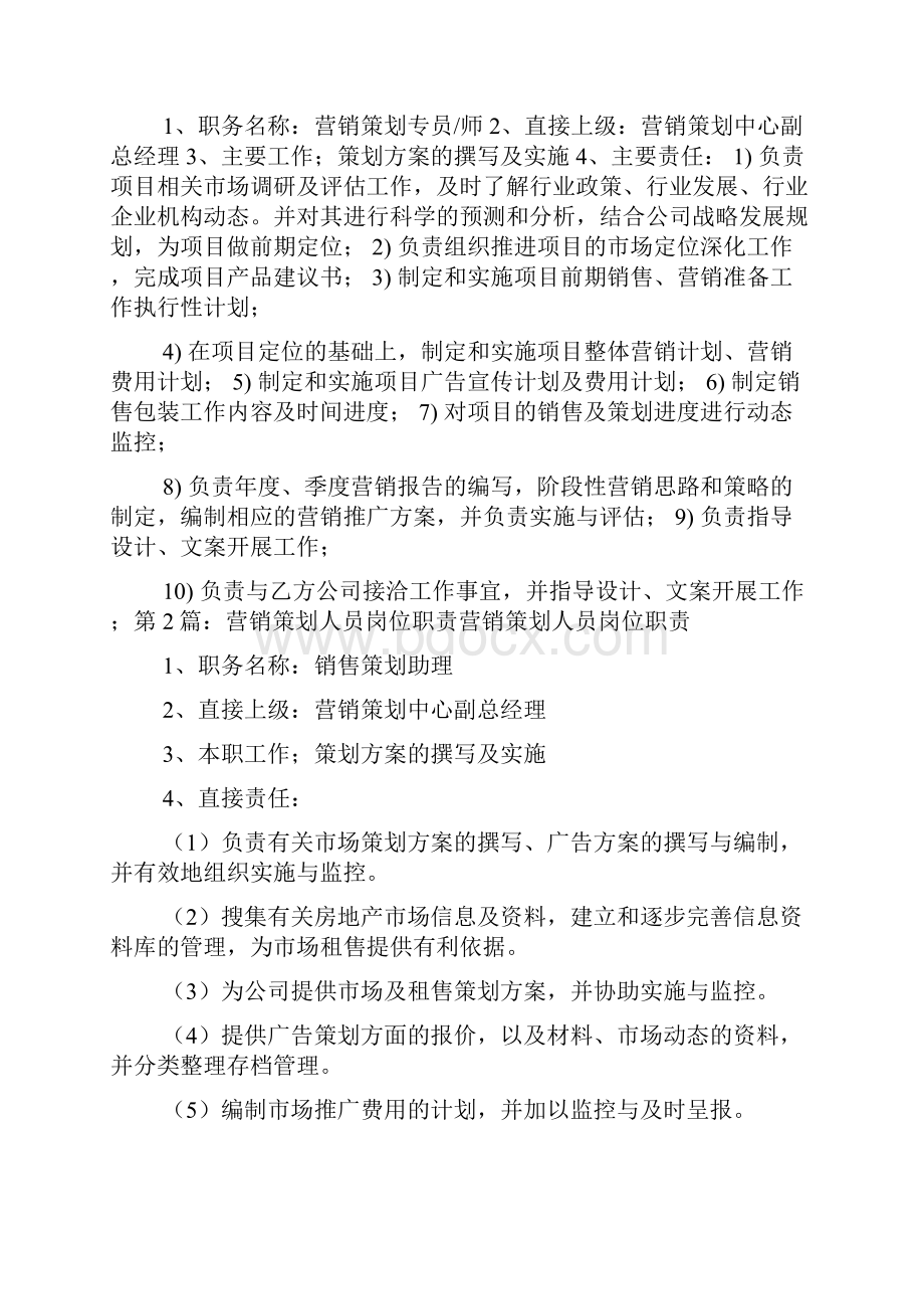 营销人员岗位职责核心能力文档格式.docx_第2页