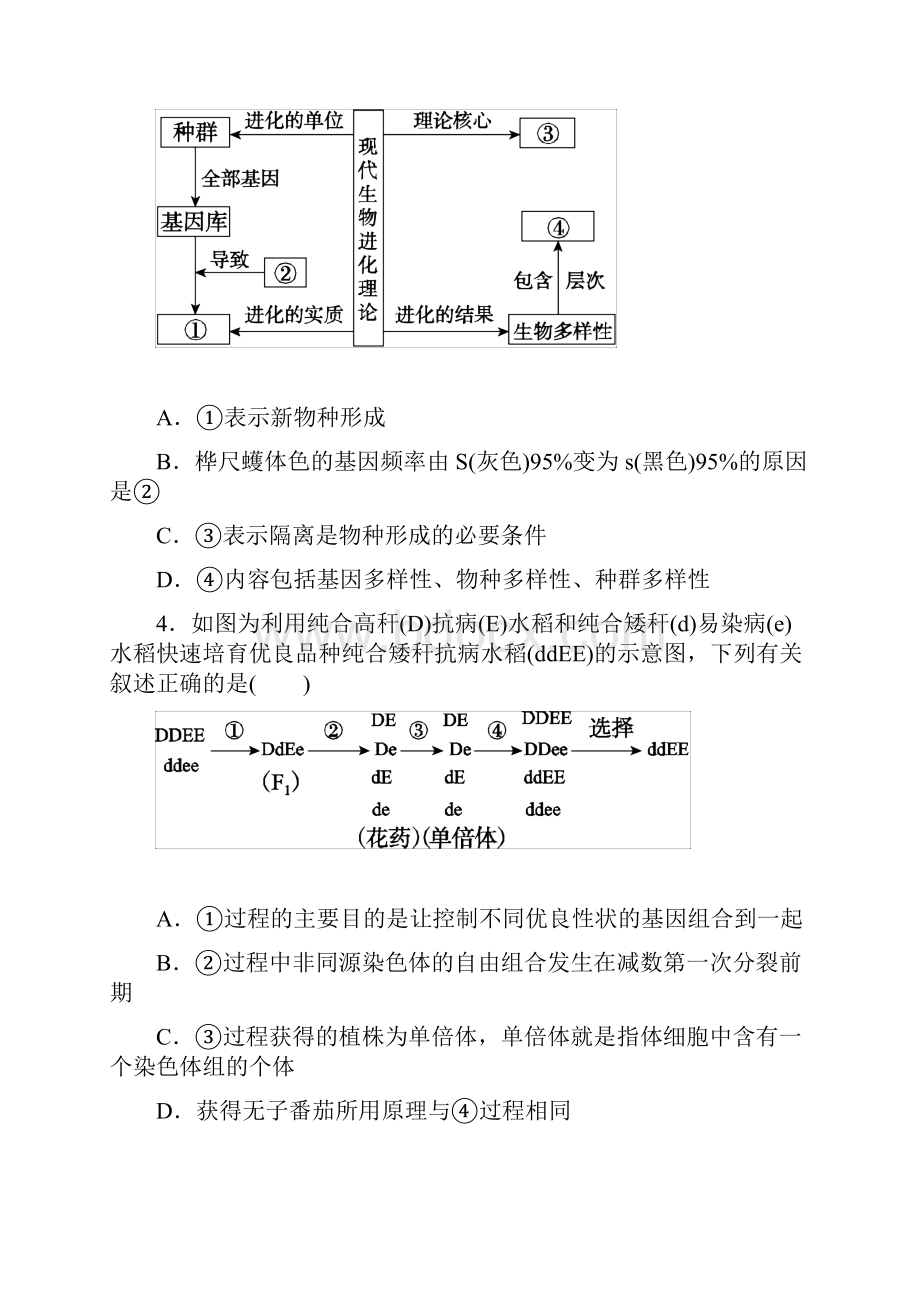 届高考生物黄金易错点专题11 生物的进化原卷版.docx_第2页