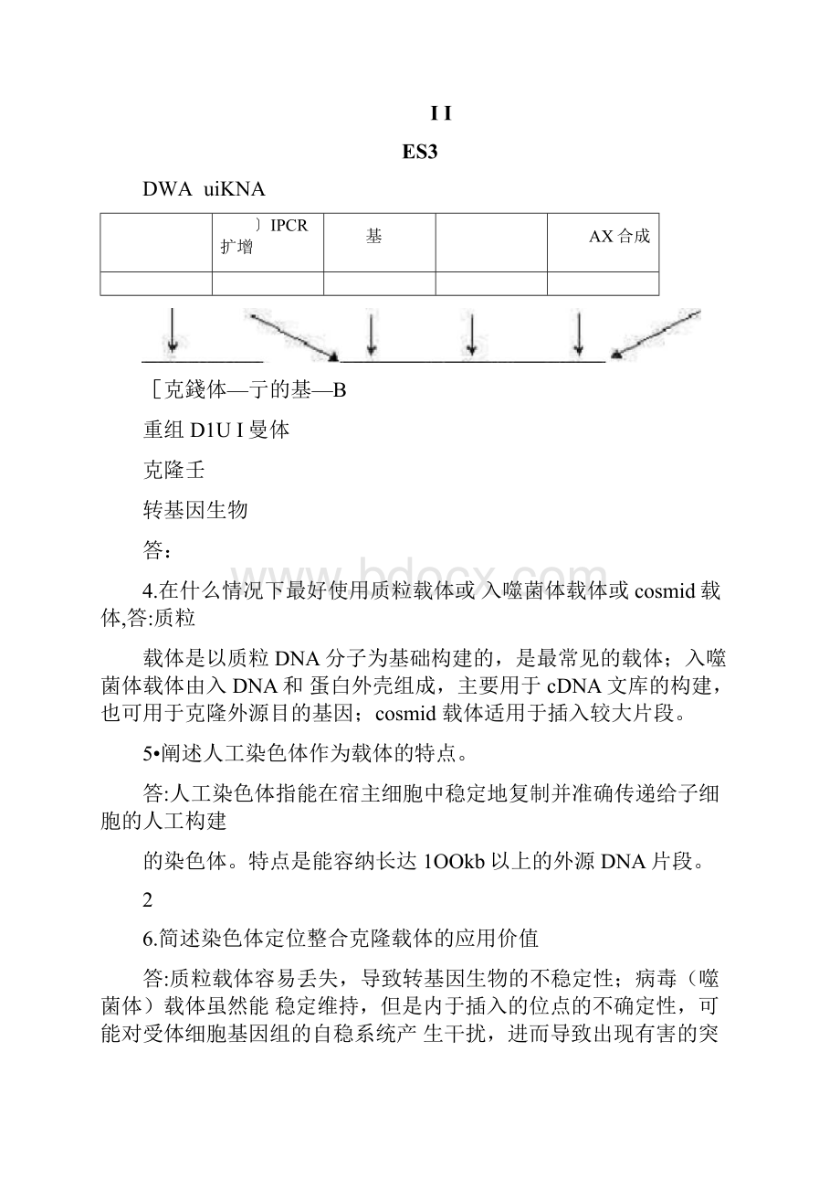 生物技术概论复习题及答案.docx_第3页