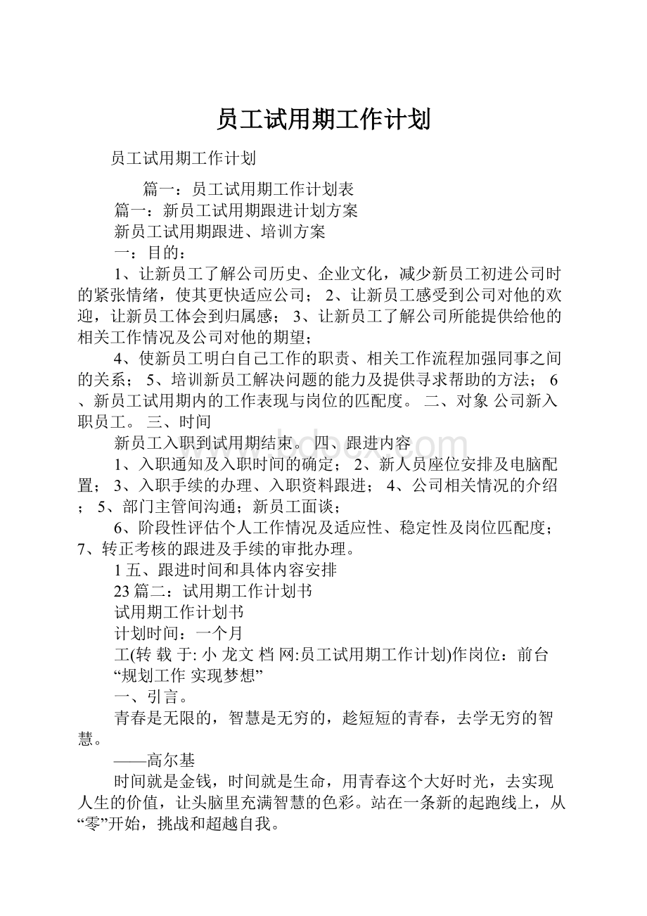 员工试用期工作计划.docx