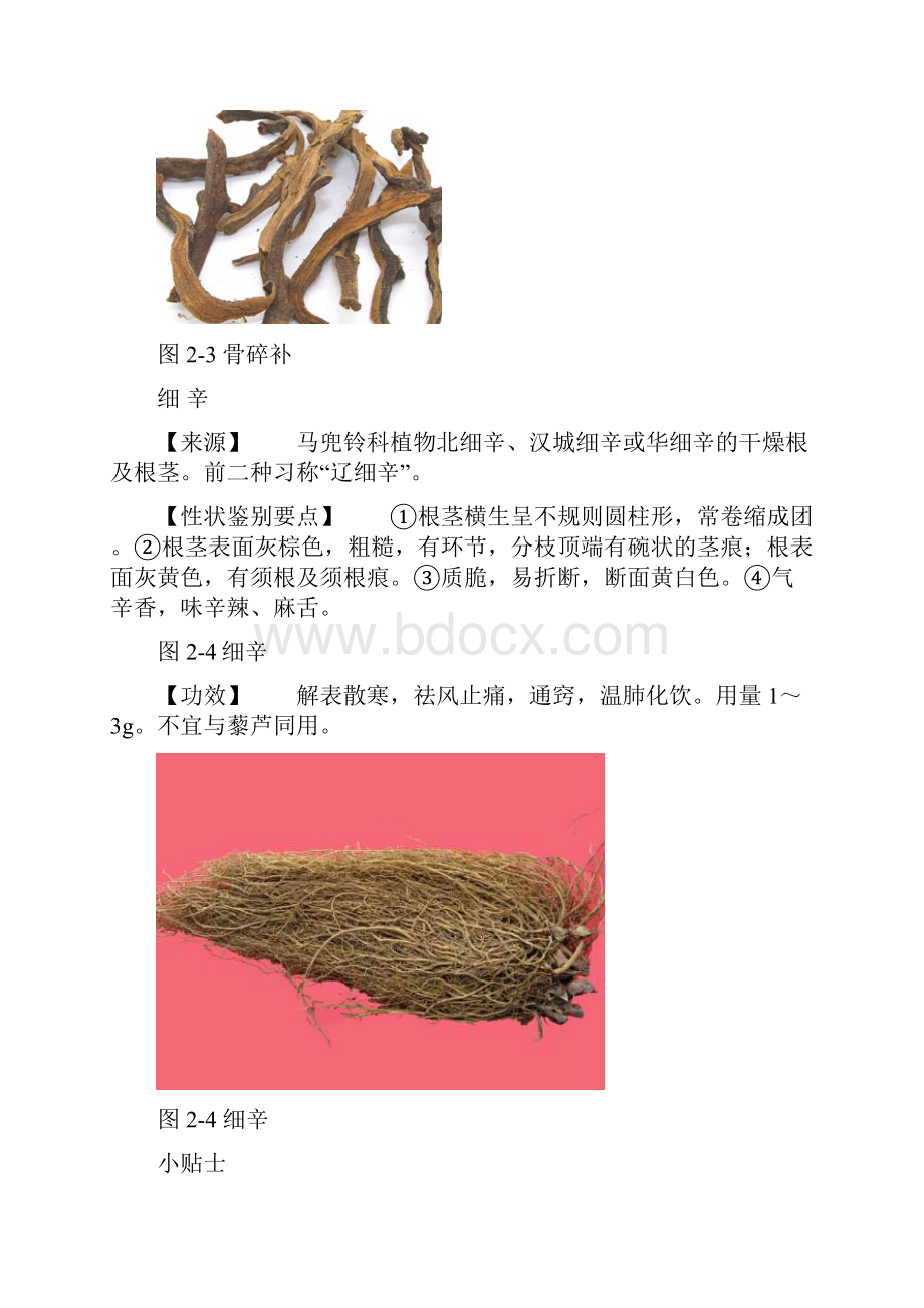 常用中药根及根茎类的鉴别要点和功效一.docx_第3页