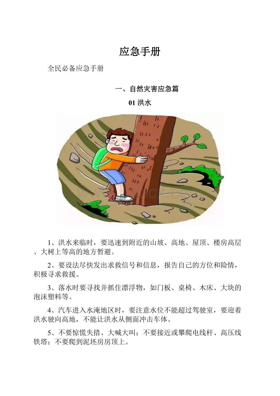 应急手册Word格式文档下载.docx_第1页