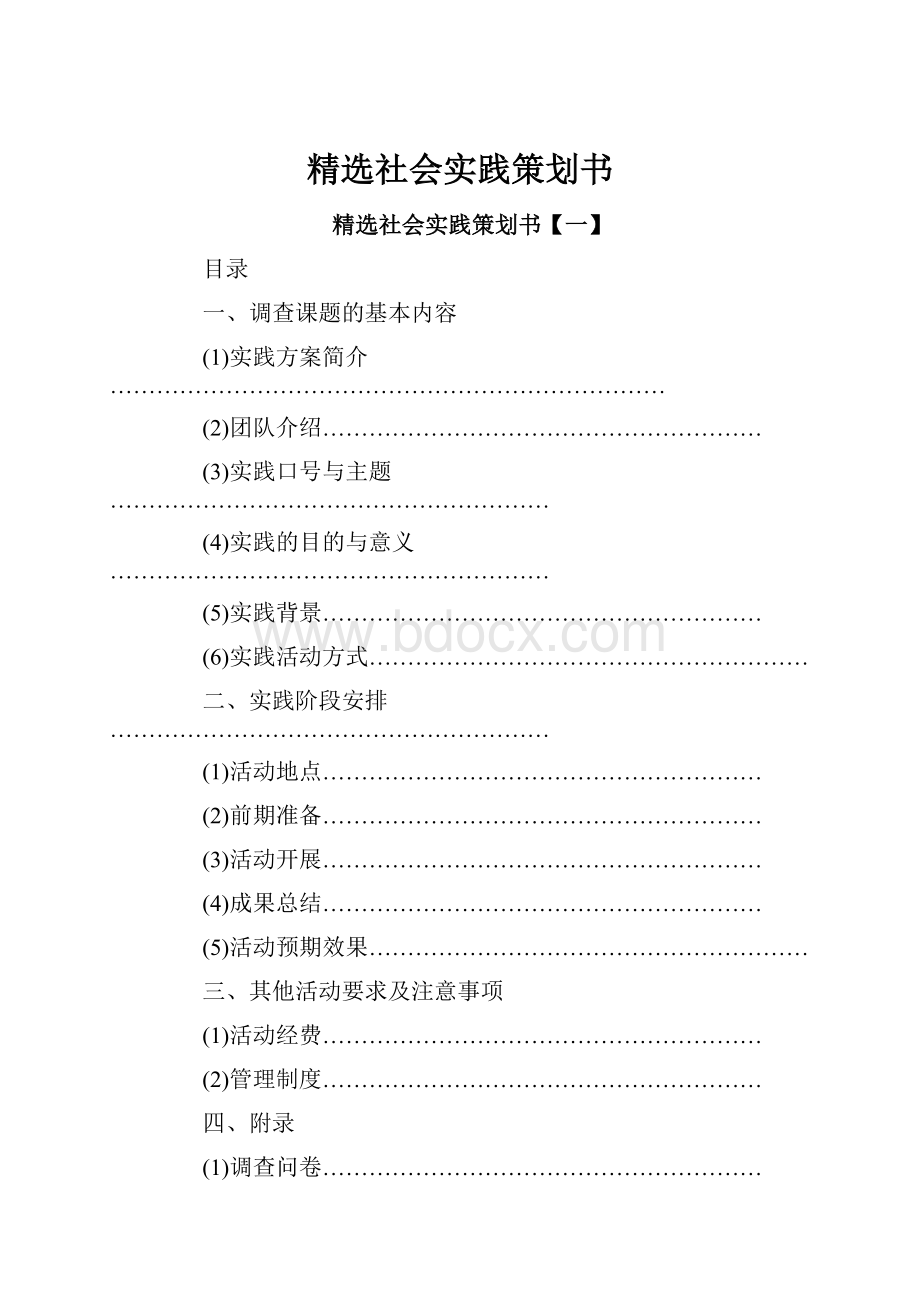 精选社会实践策划书.docx