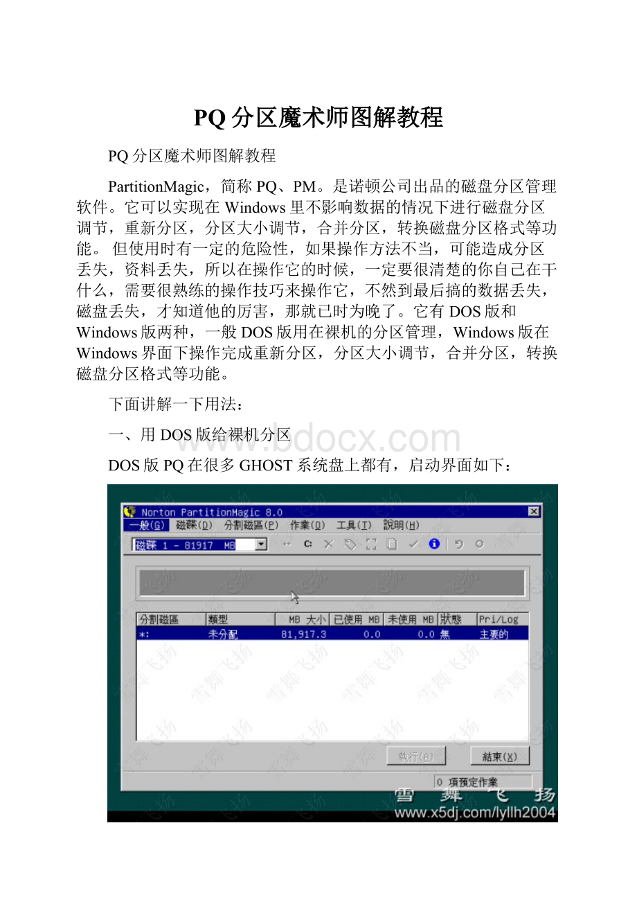 PQ分区魔术师图解教程文档格式.docx