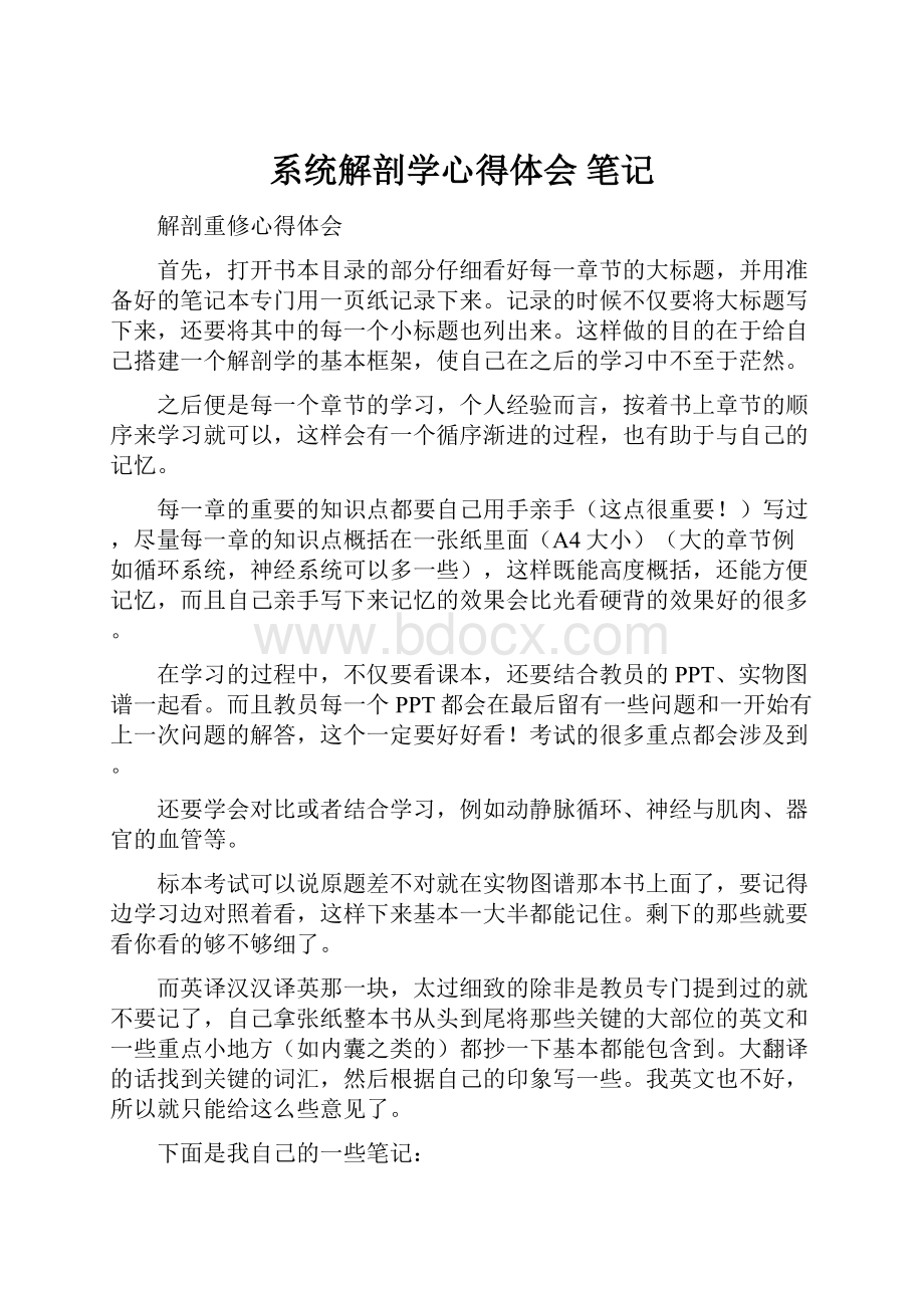 系统解剖学心得体会 笔记.docx