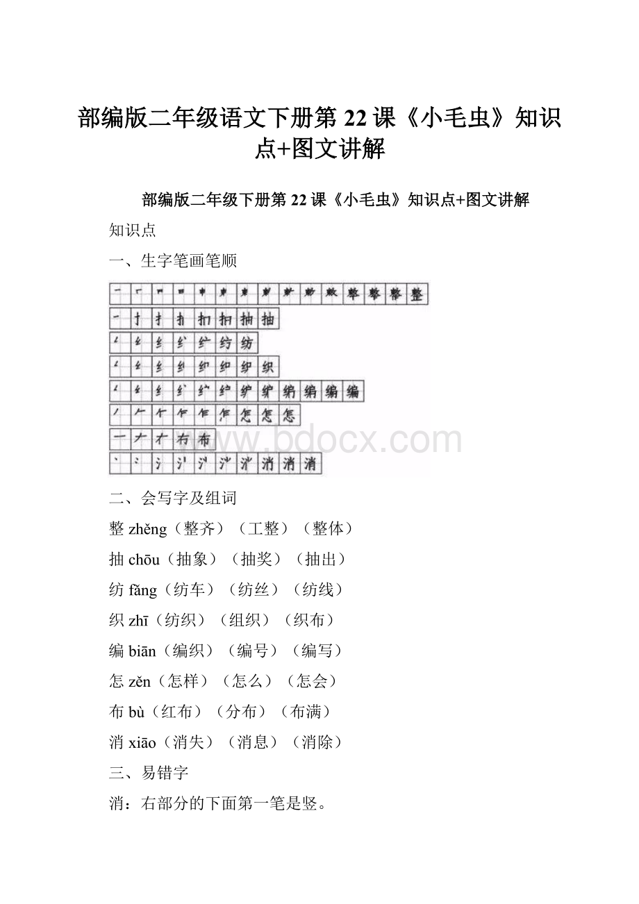 部编版二年级语文下册第22课《小毛虫》知识点+图文讲解.docx_第1页