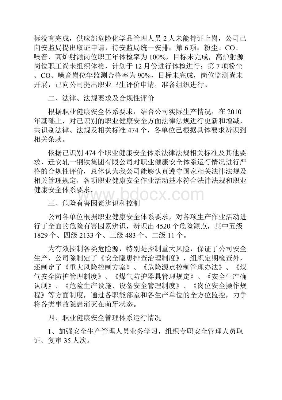 职业健康安全管理体系运行情况报告.docx_第2页