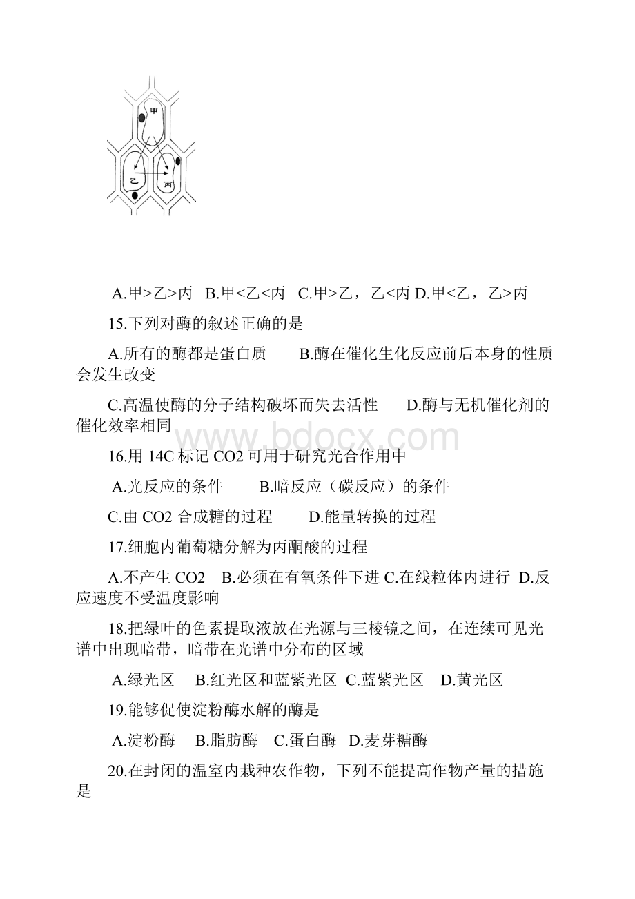 北京市普通高中生物会考说明及示例.docx_第3页