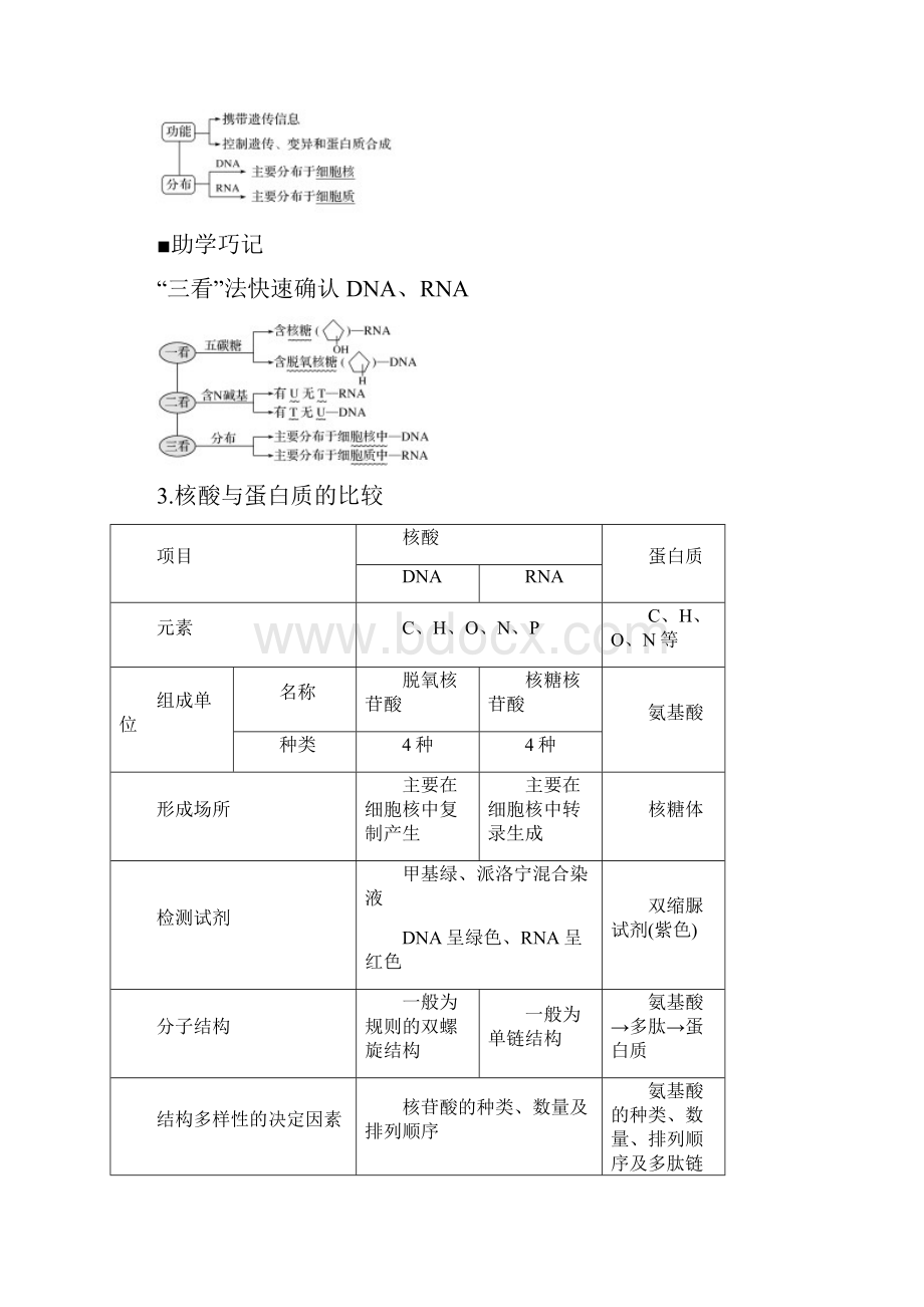 中图版高中生物第4讲细胞中的核酸Word格式.docx_第2页