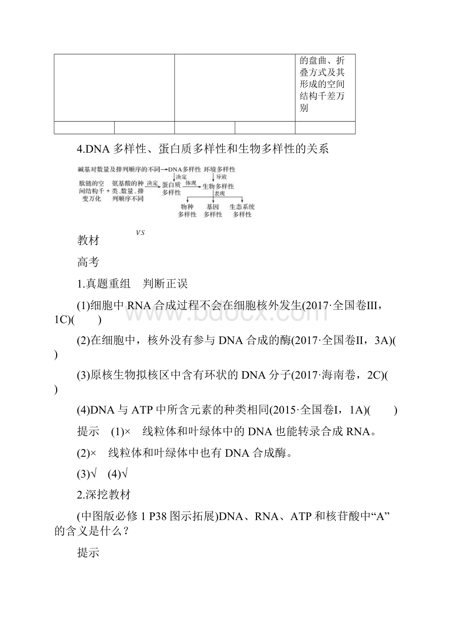 中图版高中生物第4讲细胞中的核酸Word格式.docx_第3页