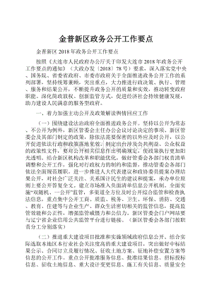 金普新区政务公开工作要点Word格式文档下载.docx