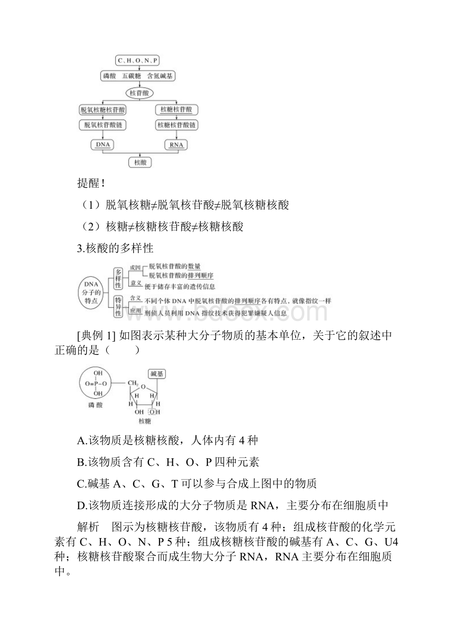 第4课时 核酸储存与传递遗传信息.docx_第2页