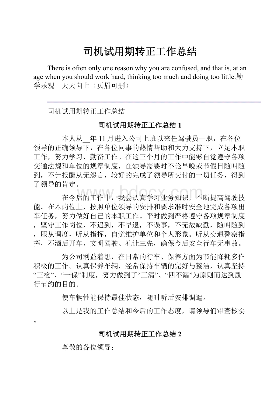 司机试用期转正工作总结Word格式文档下载.docx