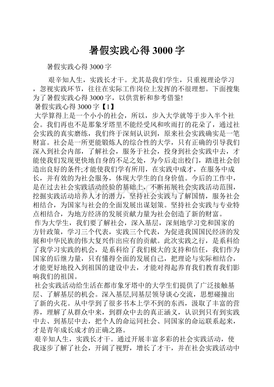 暑假实践心得3000字Word文档格式.docx