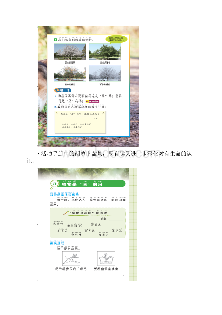 一年级上科学植物是活的吗Word文件下载.docx_第3页