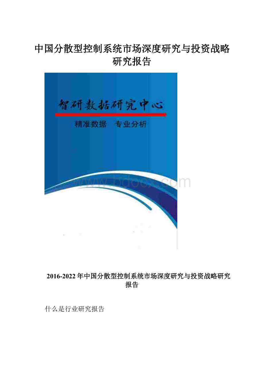 中国分散型控制系统市场深度研究与投资战略研究报告Word文件下载.docx_第1页