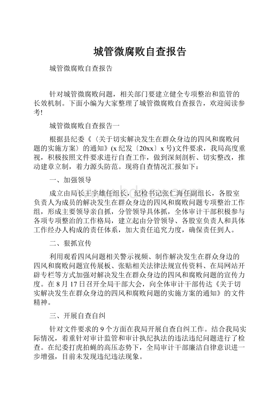 城管微腐败自查报告Word格式文档下载.docx