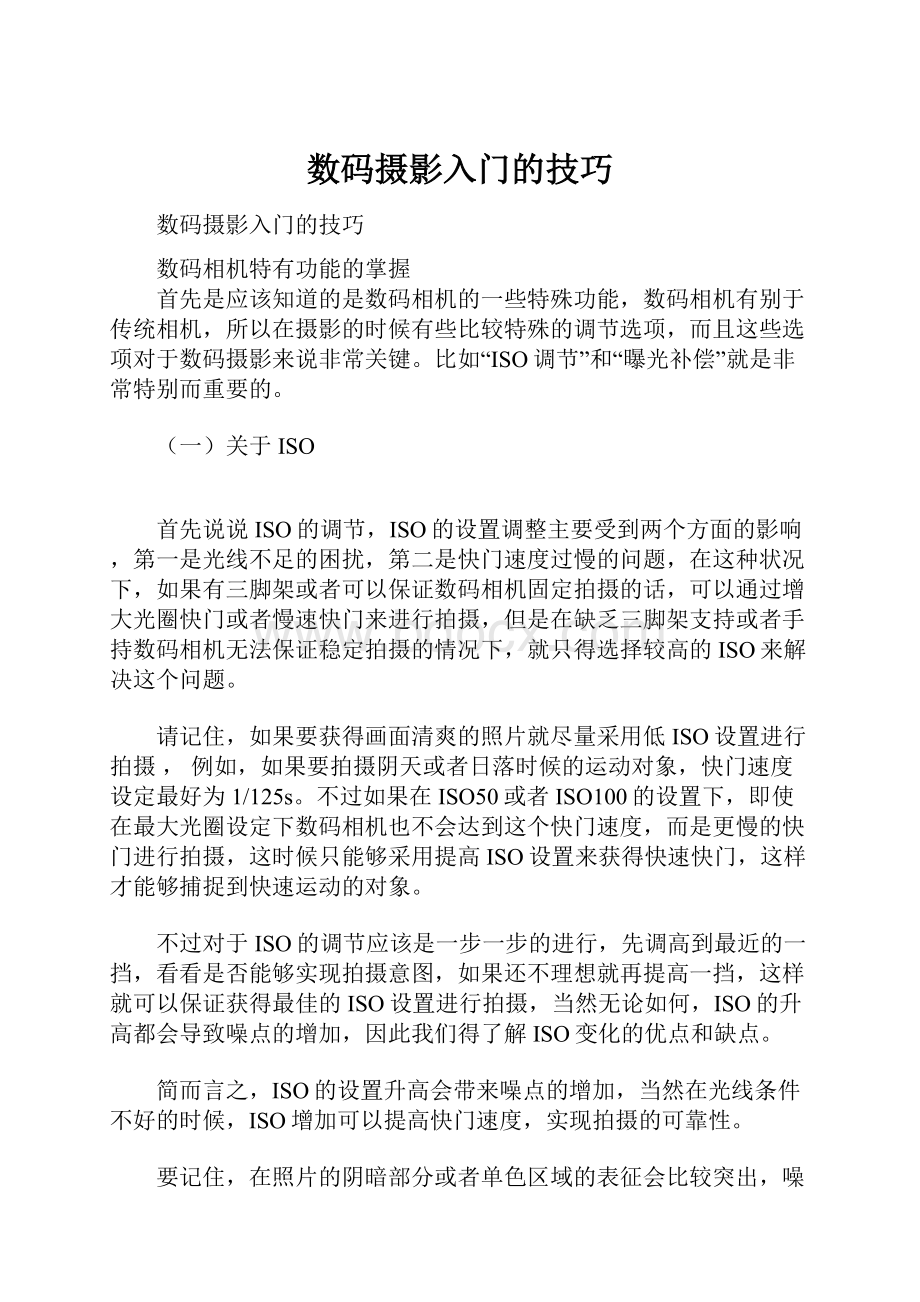 数码摄影入门的技巧Word格式文档下载.docx