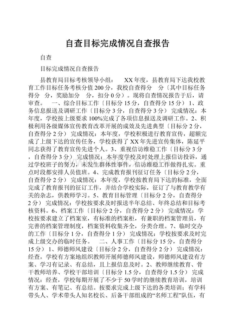 自查目标完成情况自查报告Word文件下载.docx