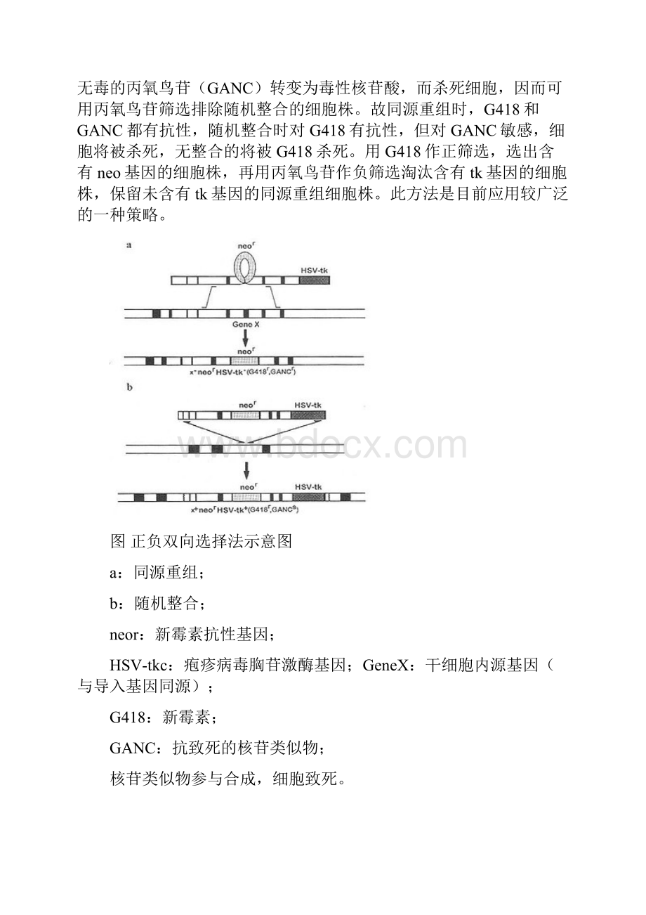 转基因题库.docx_第3页