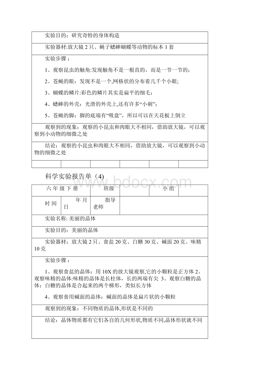 六年级下册科学实验报告单.docx_第3页