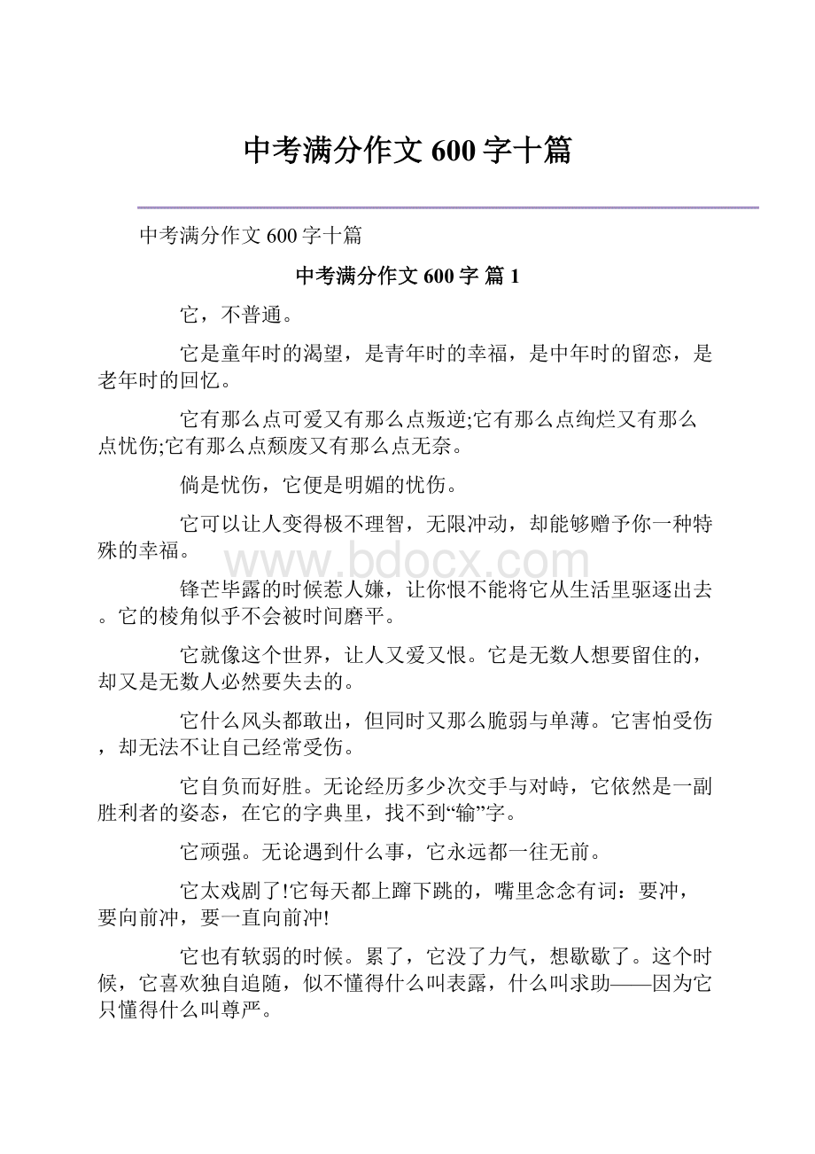 中考满分作文600字十篇Word格式文档下载.docx