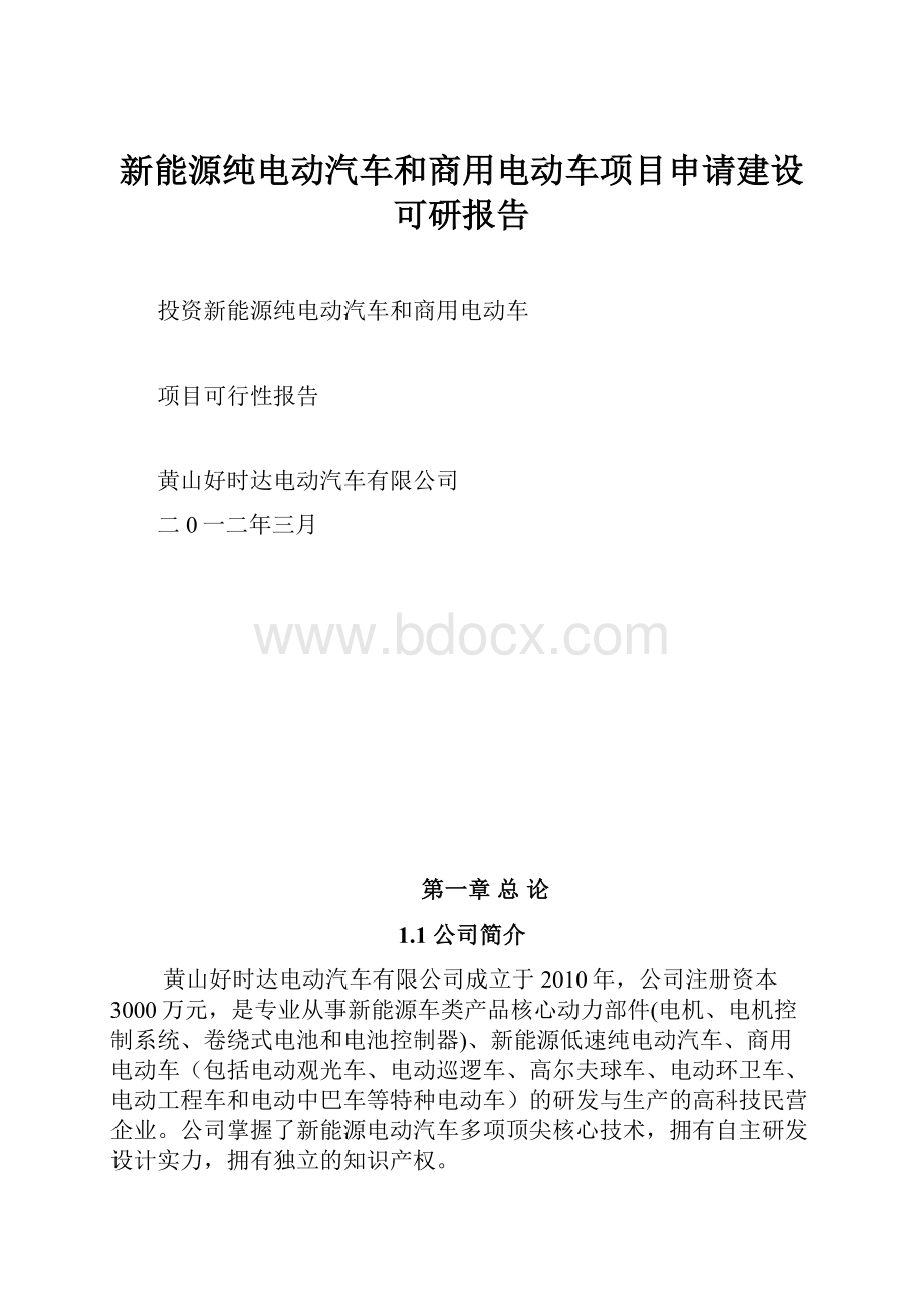 新能源纯电动汽车和商用电动车项目申请建设可研报告.docx_第1页