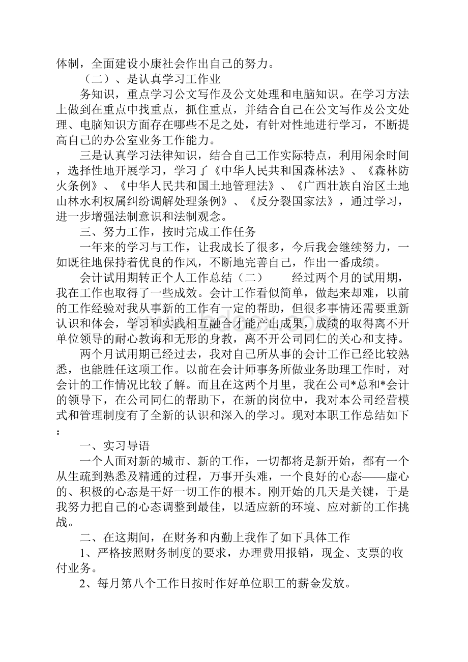 会计试用期转正个人工作总结.docx_第2页