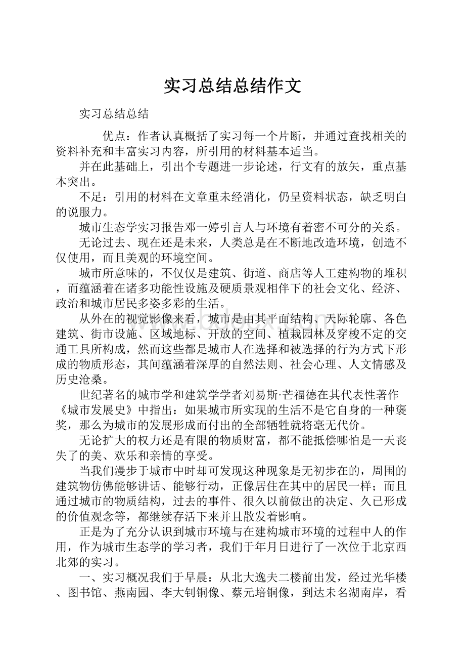 实习总结总结作文.docx